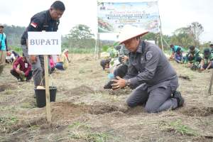 Dorong Kesejahteraan Petani, Pemkab Tapanuli Utara Gerakkan Penanaman 2,2 Juta Batang Kopi Arabika