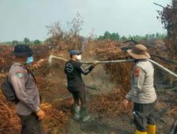 Karhutla di Kerumutan Kembali Ditangani, Polres Pelalawan Kerahkan 76 Personel Gabungan