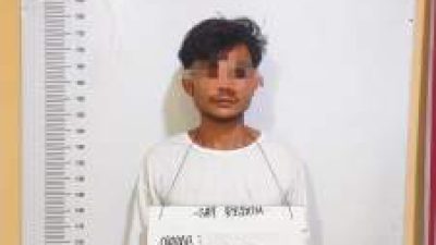 Polisi Ringkus Pria Diduga Terlibat Curas di Labuhanbatu