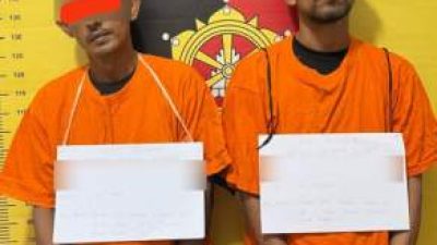 Dua Pria Diduga Curi 30 Tandan Sawit, Diciduk Polisi